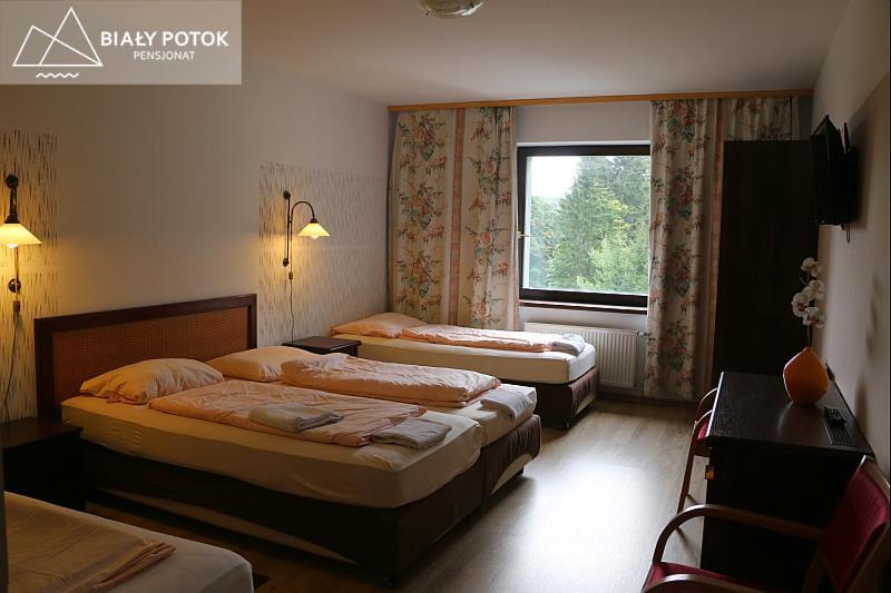 Bialy Potok Panzió Zieleniec  Kültér fotó