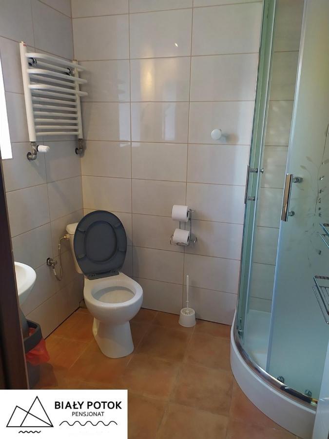Bialy Potok Panzió Zieleniec  Kültér fotó